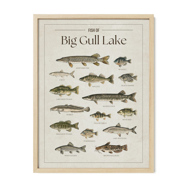 Big Gull Lake Print
