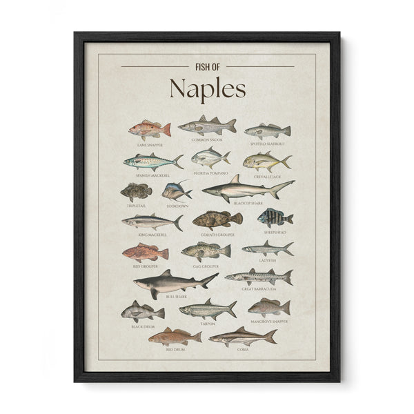 Naples Print