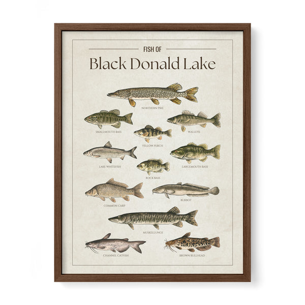 Black Donald Lake Print