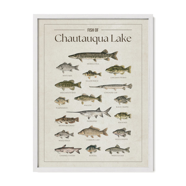 Chautauqua Lake Print