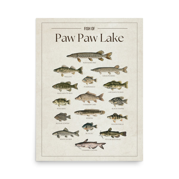 Paw Paw Lake
