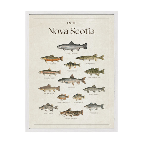 Nova Scotia Print