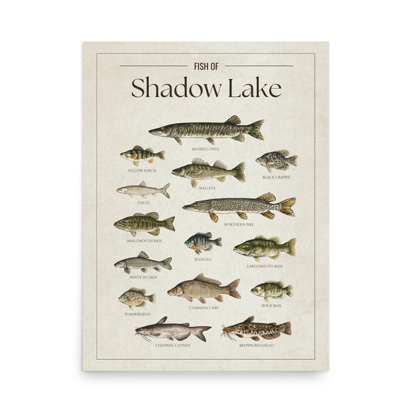 Shadow Lake Print