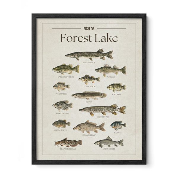 Forest Lake Print