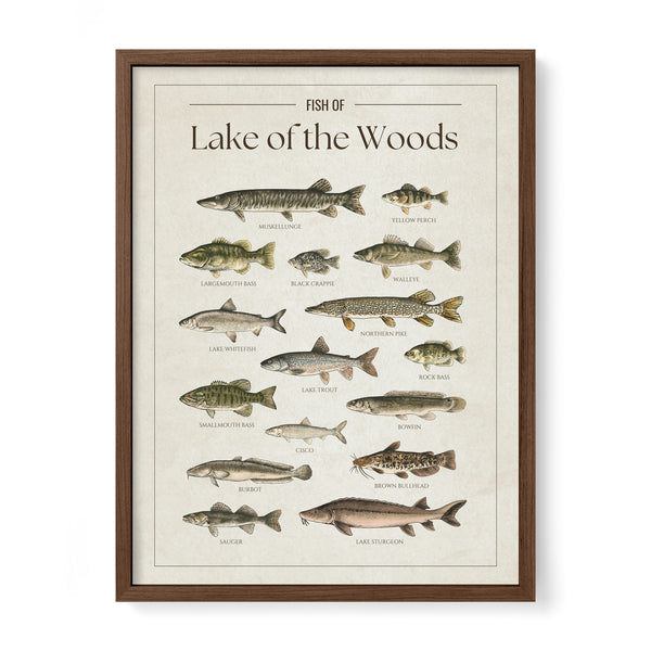 Lake of the Woods Print