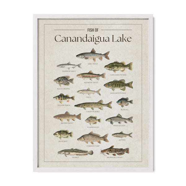 Canandaigua Lake Print