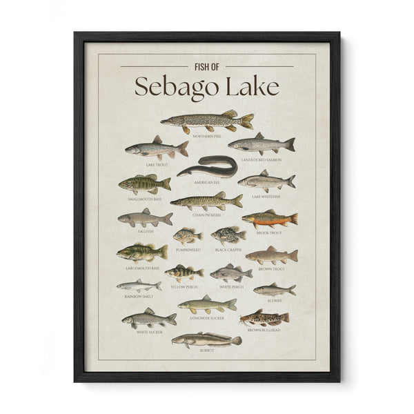 Sebago Lake Print