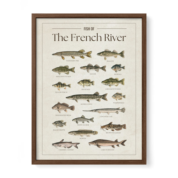 French River Print