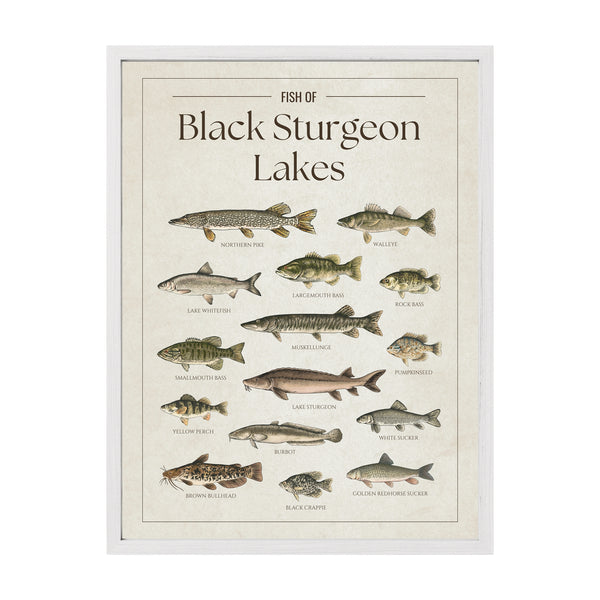 Black Sturgeon Lakes Print