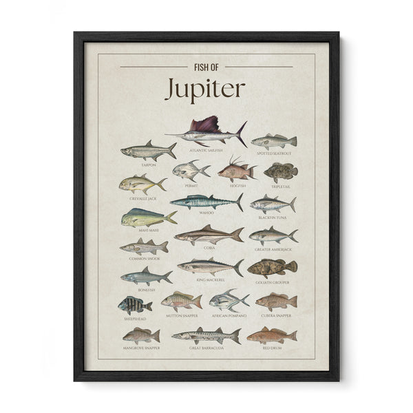 Jupiter Print