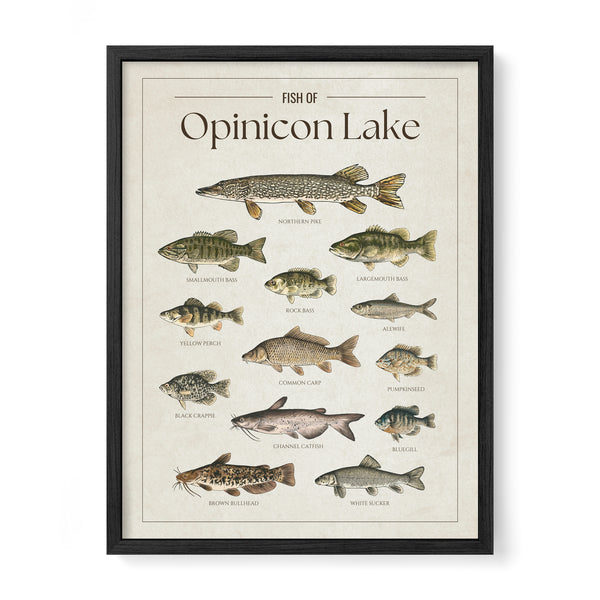 Opinicon Lake Print