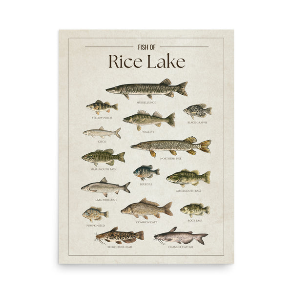 Rice Lake Print