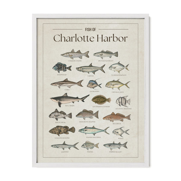 Charlotte Harbor Print