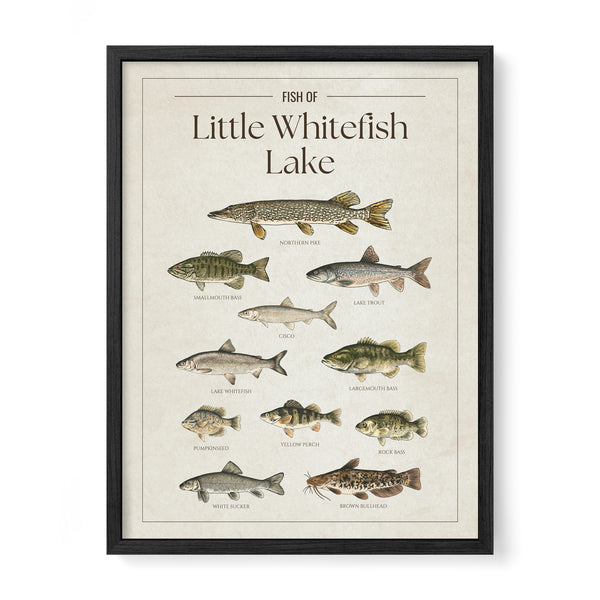 Little Whitefish Lake Print