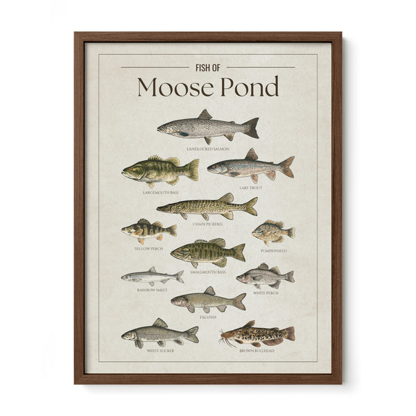 Moose Pond Print