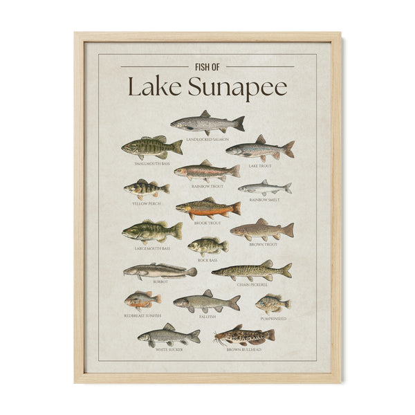 Lake Sunapee Print