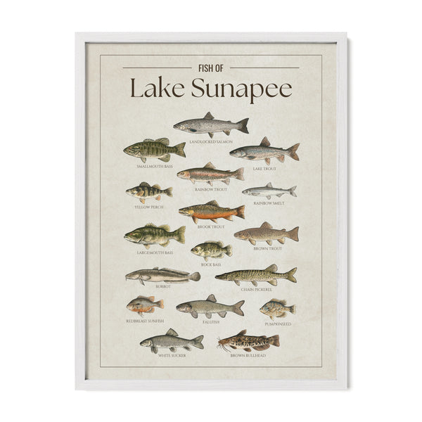 Lake Sunapee Print