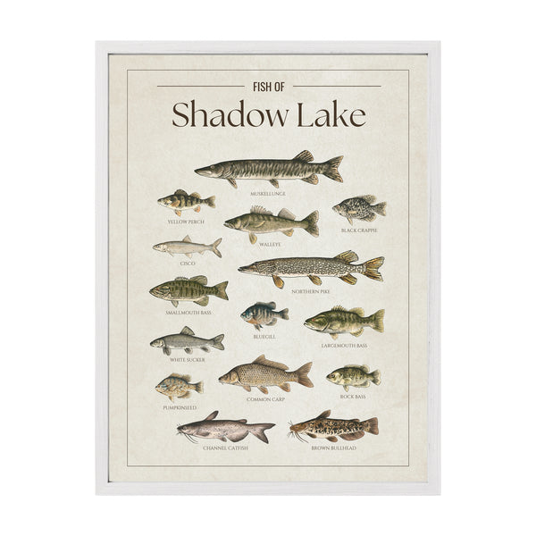 Shadow Lake Print