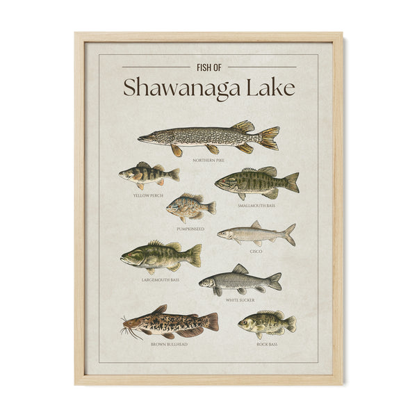 Shawanaga Lake Print