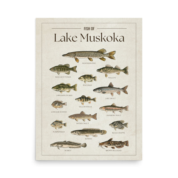Lake Muskoka Print