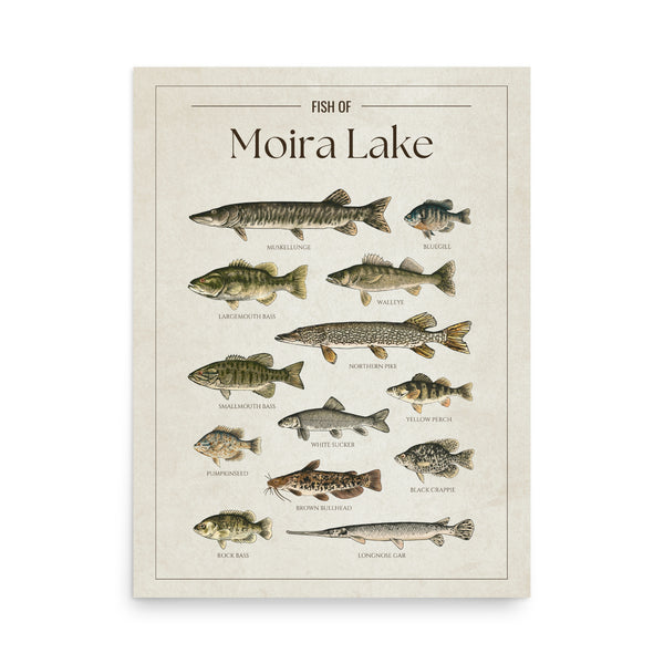 Moira Lake Print