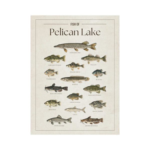 Pelican Lake Print