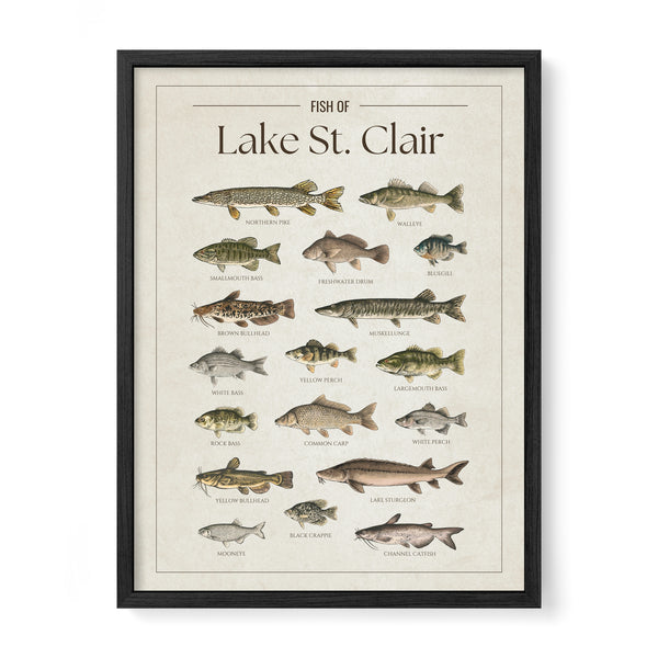 Lake St. Clair Print