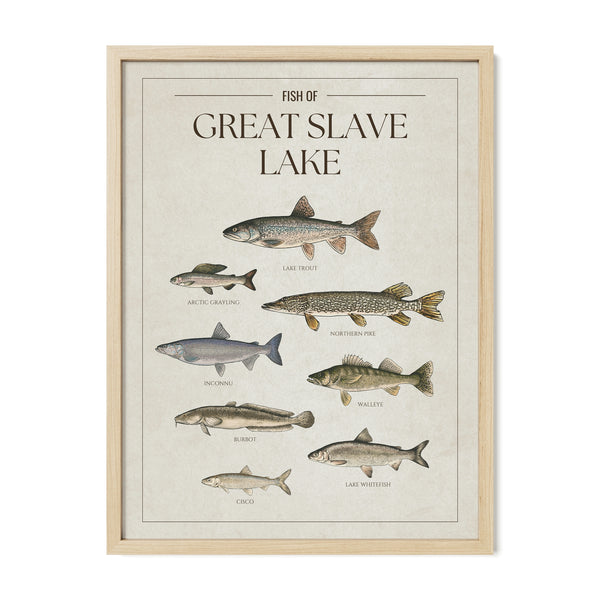 Great Slave Lake Print