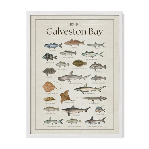 Galveston Bay Print