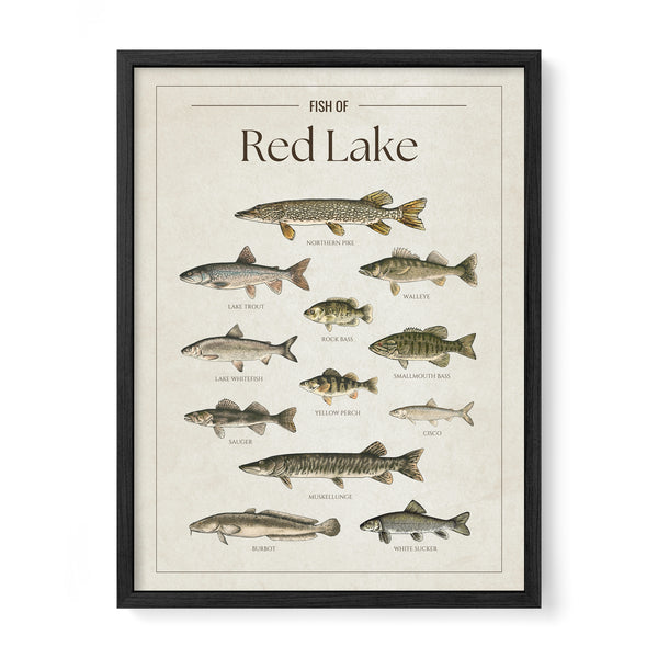 Red Lake Print