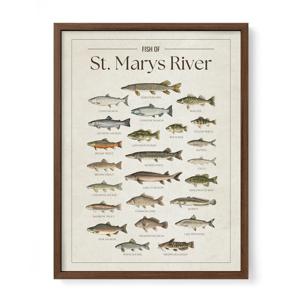 St. Marys River Print