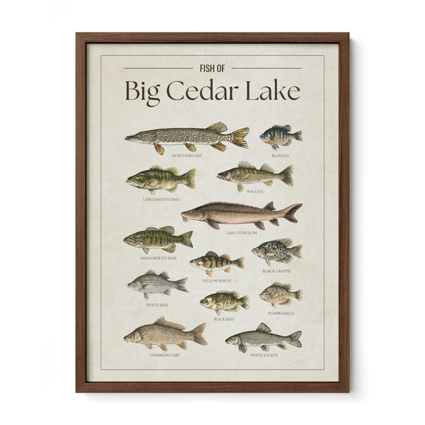 Big Cedar Lake Print