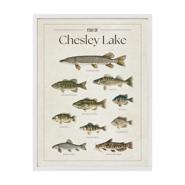 Chesley Lake Print