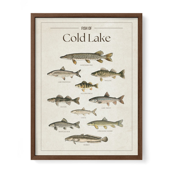Cold Lake Print