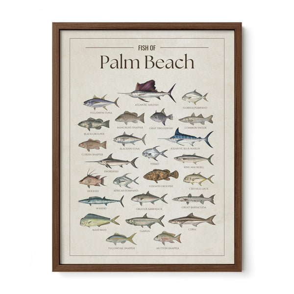 Palm Beach Print