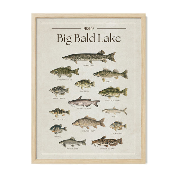 Big Bald Lake Print