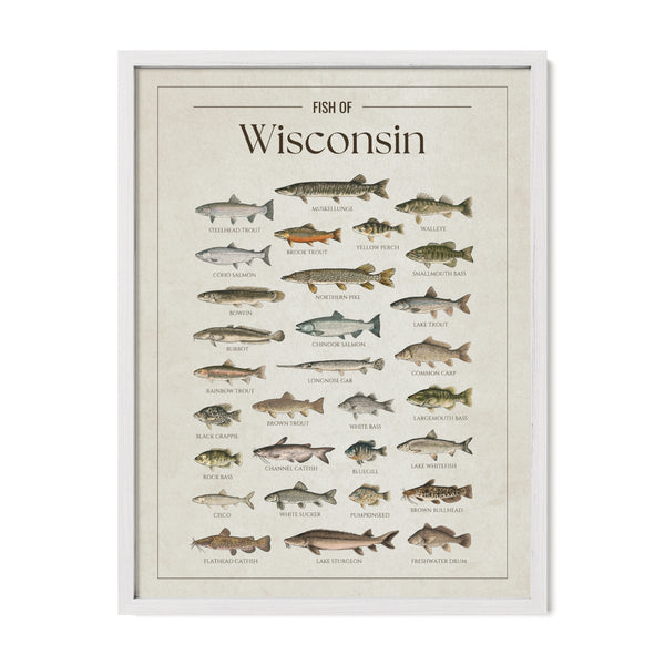 Wisconsin Print