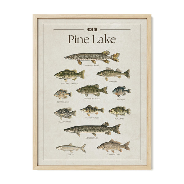 Pine Lake Print