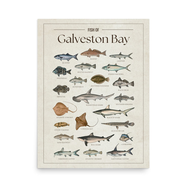 Galveston Bay Print