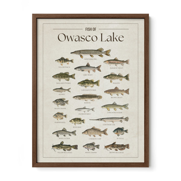 Owasco Lake Print