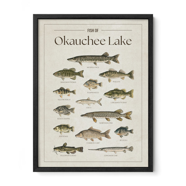 Okauchee Lake Print
