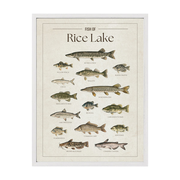 Rice Lake Print