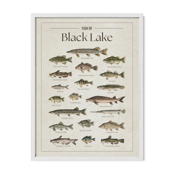 Black Lake Print