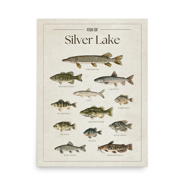 Silver Lake Print