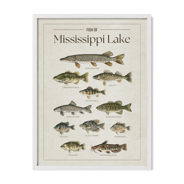 Mississippi Lake Print
