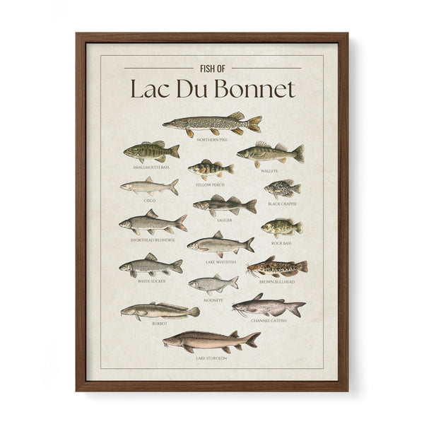 Lac Du Bonnet Print