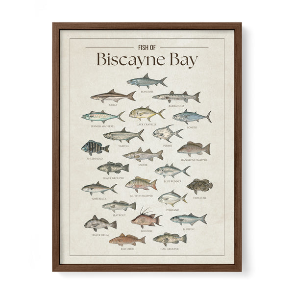 Biscayne Bay Print