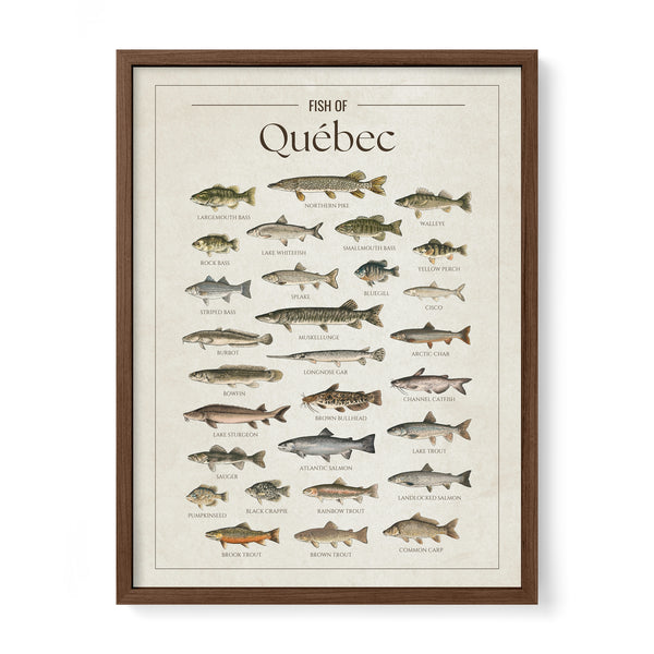 Québec Print