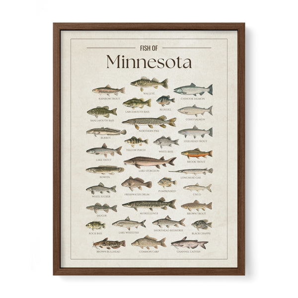 Minnesota Print