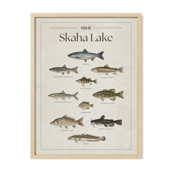Skaha Lake Print
